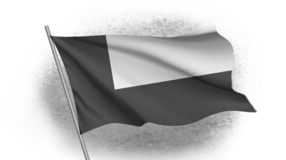 La bandera panameñista