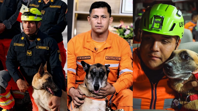 Entre ladridos y esperanza: la historia de los perros panameños que viajaron a Venezuela para buscar sobrevivientes