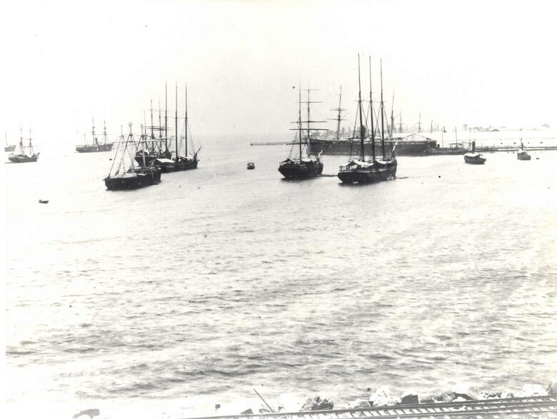 Sin Colón, no habría patria. ¿Qué pasó el 5 de noviembre de 1903?