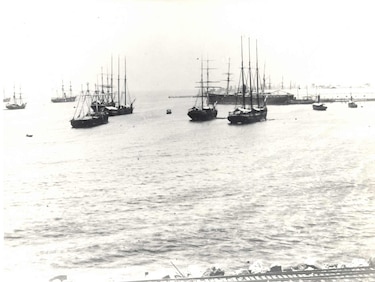 Sin Colón, no habría patria. ¿Qué pasó el 5 de noviembre de 1903?