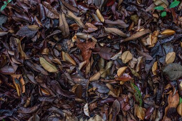 Suelos tropicales son altamente sensibles al calentamiento global