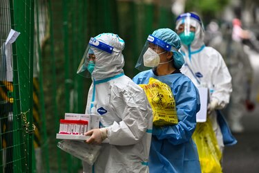 Las zoonosis y el riesgo de nuevas pandemias