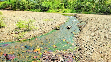 Ambiente advierte sobre uso de agua potable