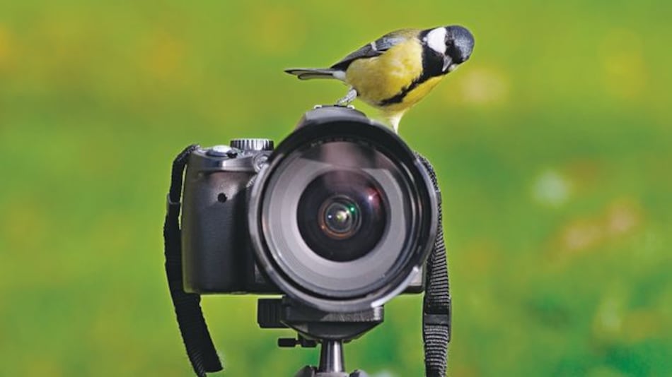 Cita con la fotografía