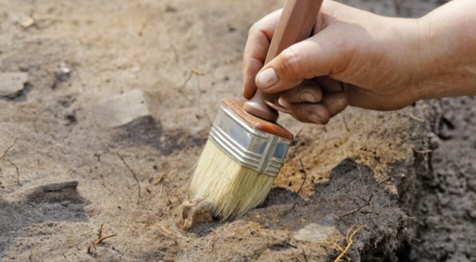 Hallan fósil de 3 mil 500 millones de años