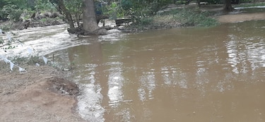Rescates por crecida de ríos en Panamá: 59 evacuados en Gatún y Río Grande