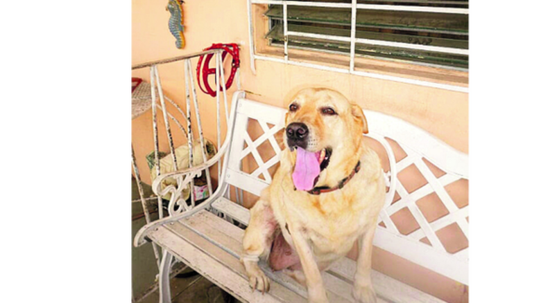 Conozcan a Zoe Mau Mau