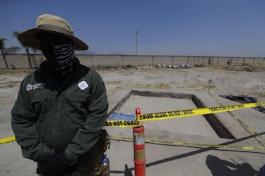 Los cerdos y los insectos que están ayudando a encontrar a los desaparecidos en México