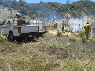 Investigan causas de incendios de herbazales en Bugaba, provincia de Chiriquí