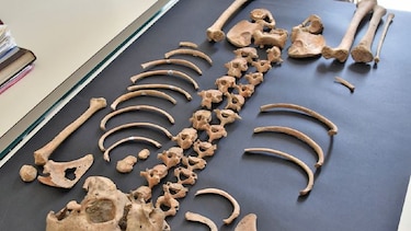 Sobre el último pequeño de Pompeya