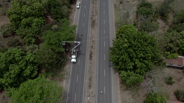 Naturgy Panamá implementa soluciones innovadoras para la conservación de monos aulladores en Herrera