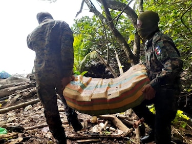 Cerca de 80 toneladas de droga han sido incautadas en operaciones contra el narcotráfico