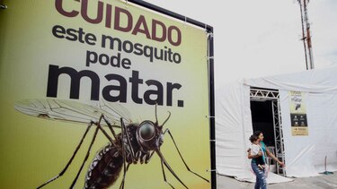 Científicos chinos aislan cepas del virus del zika desde pacientes