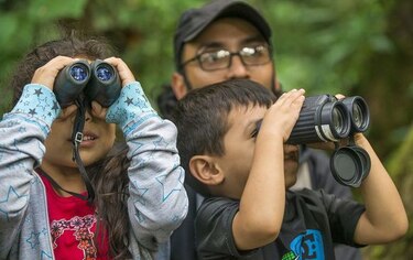 Turismo verde para liberar el estrés