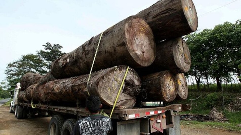 ¿Para qué sirve el Ministerio de Ambiente?