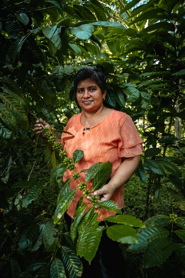 El café guardián del agua