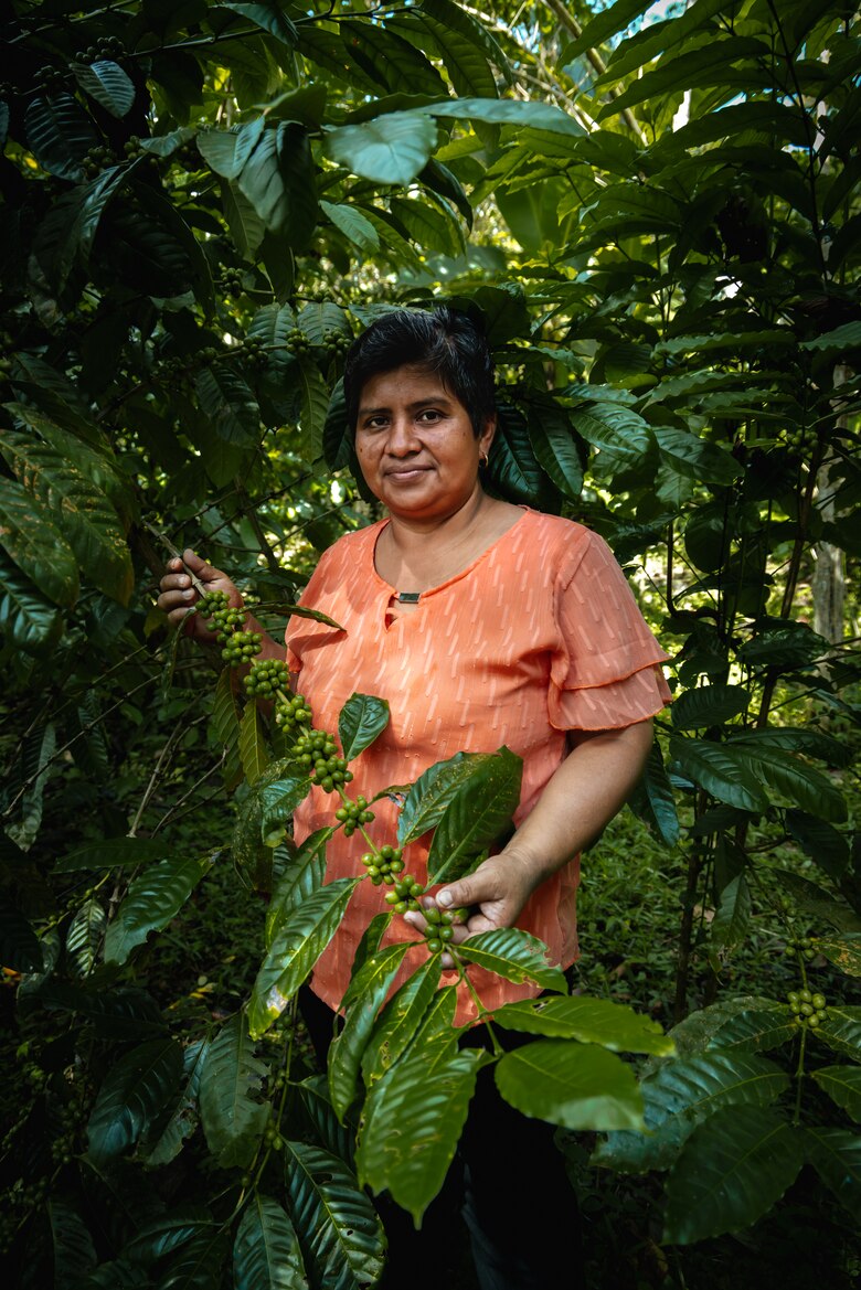 El café guardián del agua