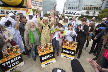 EU apunta a más causas en reducción de las abejas además de uso pesticidas