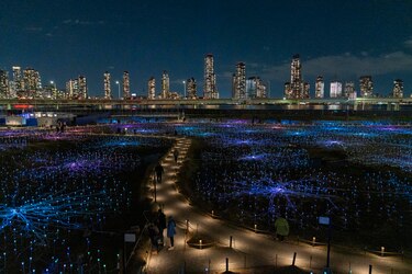 La Freedom Plaza de Nueva York se enciende con una instalación luminosa de Bruce Munro