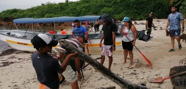 Voluntarios recogen desechos en isla Iguana