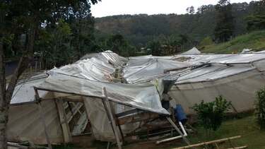 Fuertes vientos afectan a residentes en Capira y La Chorrera