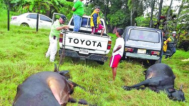 Rayos, primera causa de muerte por fenómenos naturales