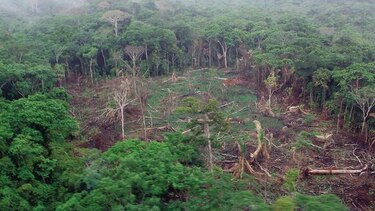 Darién, bajo amenaza