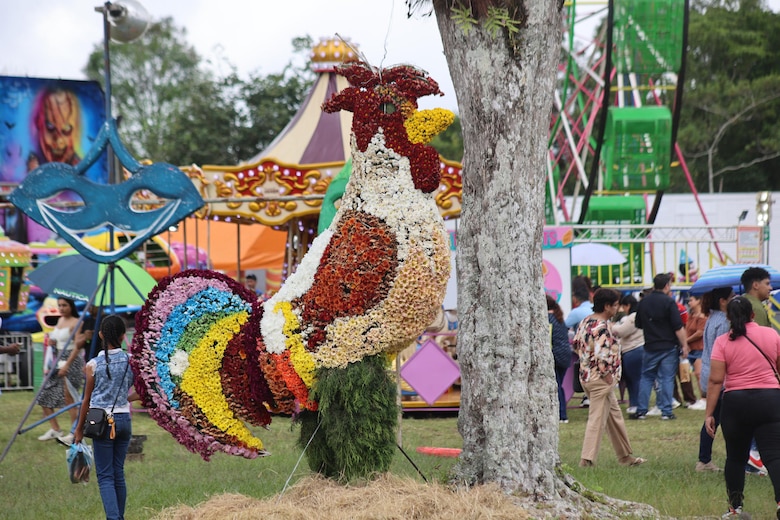 Más de un millón de flores adornan a la comunidad de Volcán en Tierras Altas