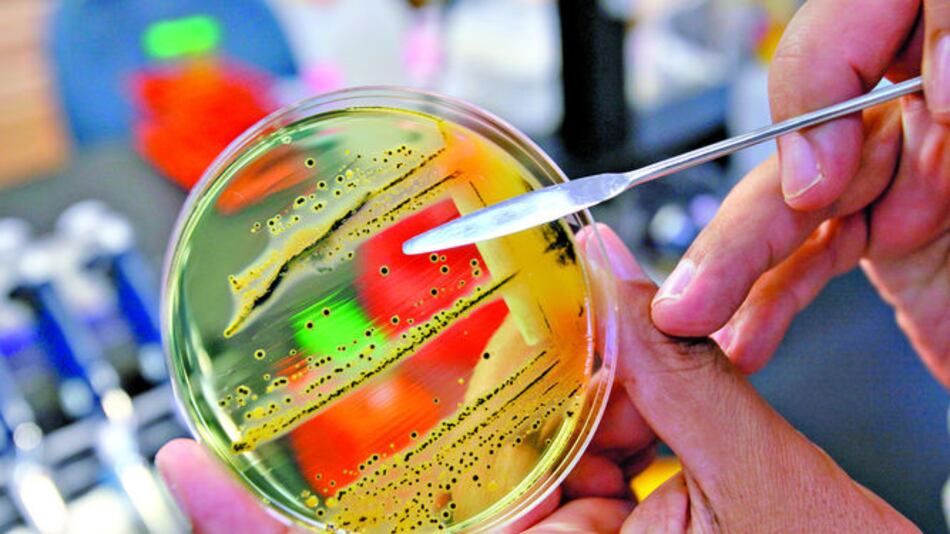 Urgen nuevos antibióticos