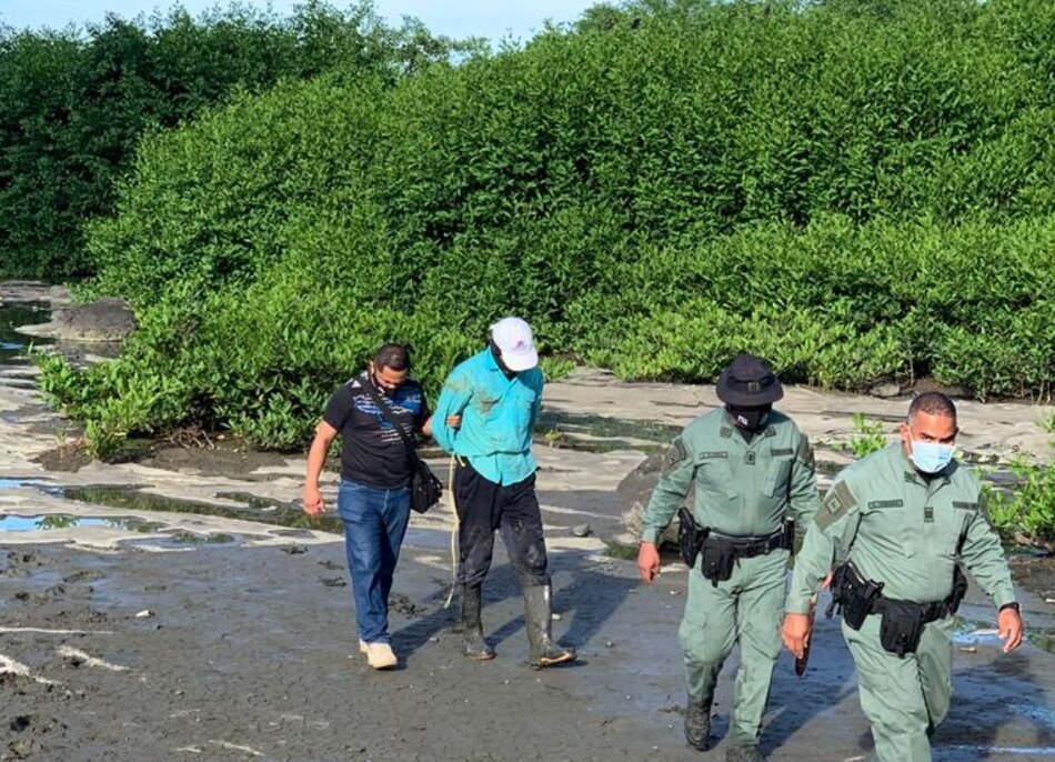 Tras denuncia en redes sociales capturan a hombre que talaba manglares en Coco del Mar