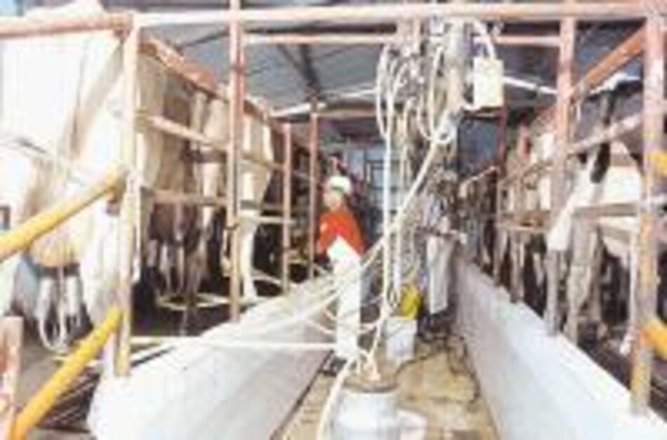Productores de leche se oponen a la apertura de contingente