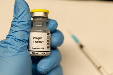 Unión Europea aprueba la vacuna contra el dengue con sello de Panamá