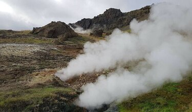 El calentamiento aumenta la diversidad de bacterias activas en el suelo
