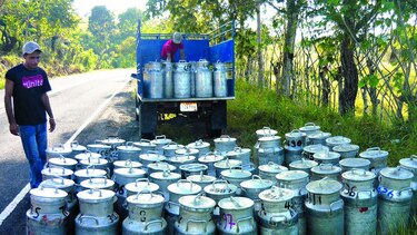 Disminuyen precio a productores de leche