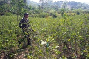El soldado desconocido