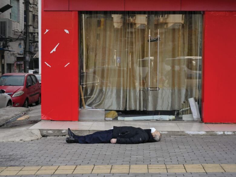 En busca del animal ‘vector’ del coronavirus