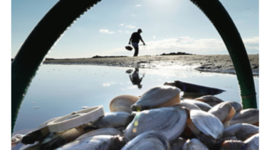 Detectan la marea roja en el Pacífico nicaragüense