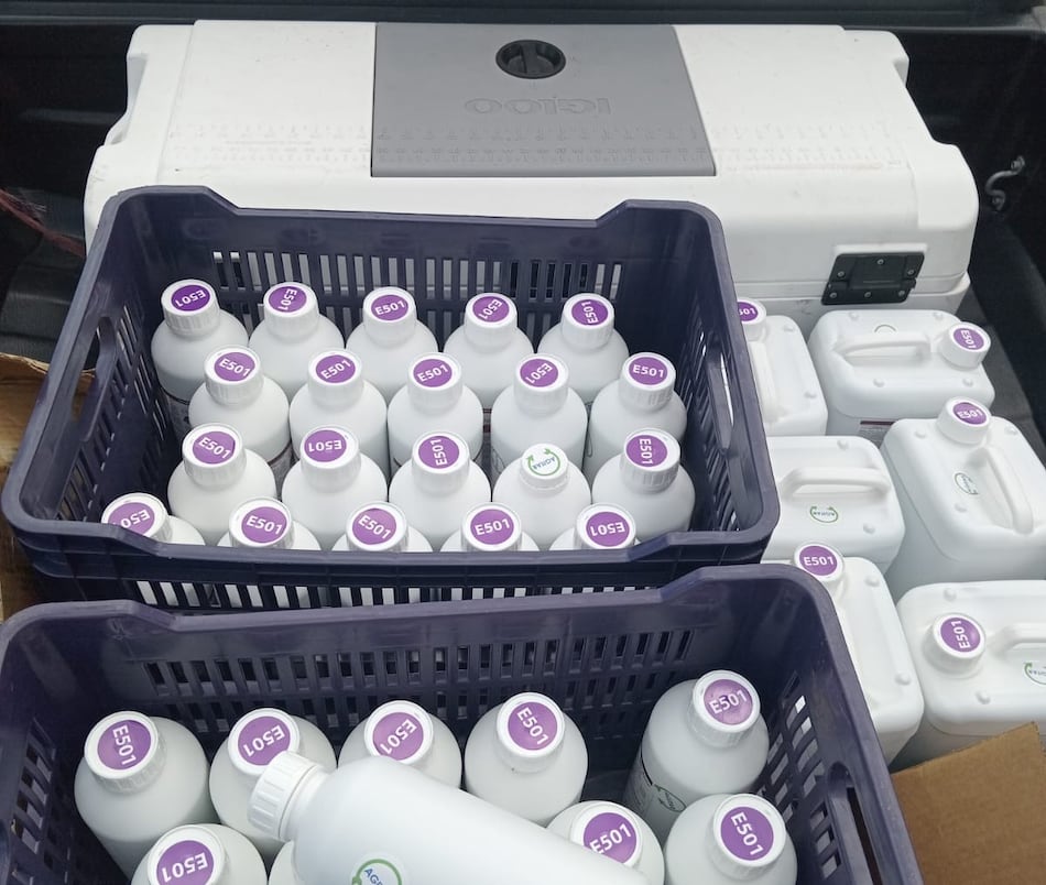 Retienen en Chiriquí medicamentos y productos agroquímicos sin la documentación requerida