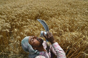 11 imágenes que más han impactado en lo que va del año 2025