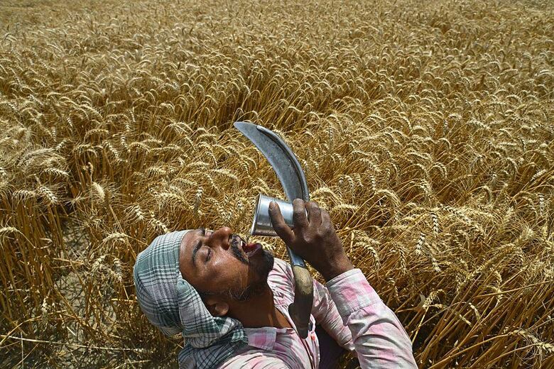 11 imágenes que más han impactado en lo que va del año 2025