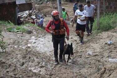 Temor a nuevos deslaves atormenta a vecinos de la brasileña Recife, que lamenta más muertes