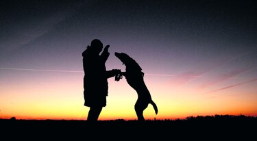 En busca de la felicidad