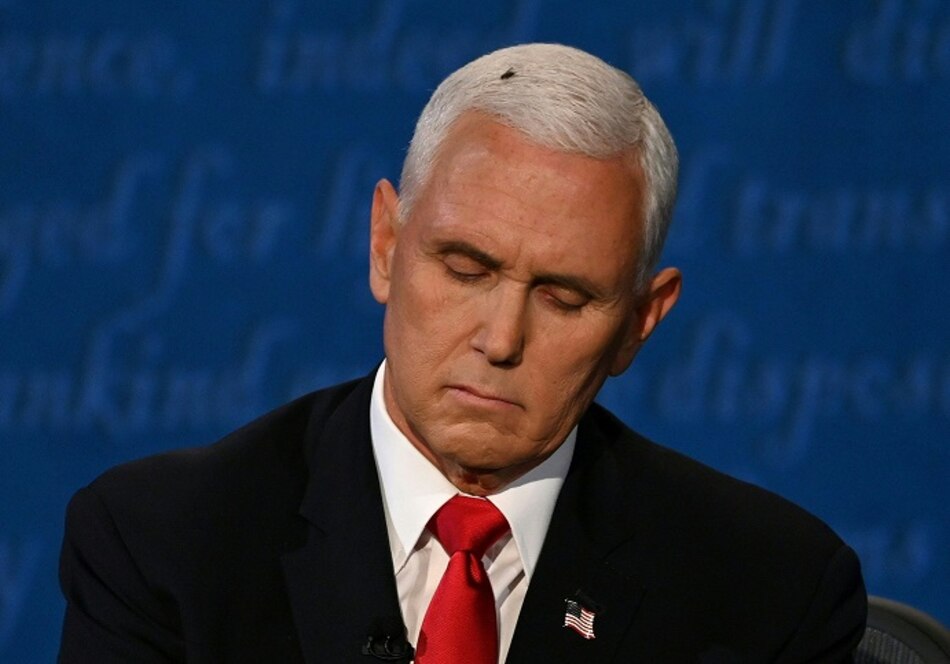 Una mosca en la cabeza de Pence durante el debate vicepresidencial deleita a los internautas