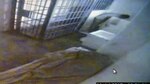 Muestran el video de la fuga de El Chapo Guzmán