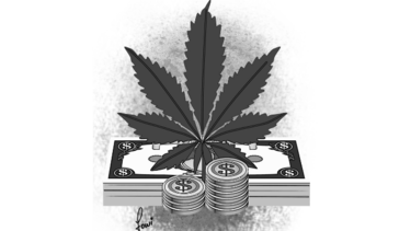 Peligra la legalización de la marihuana