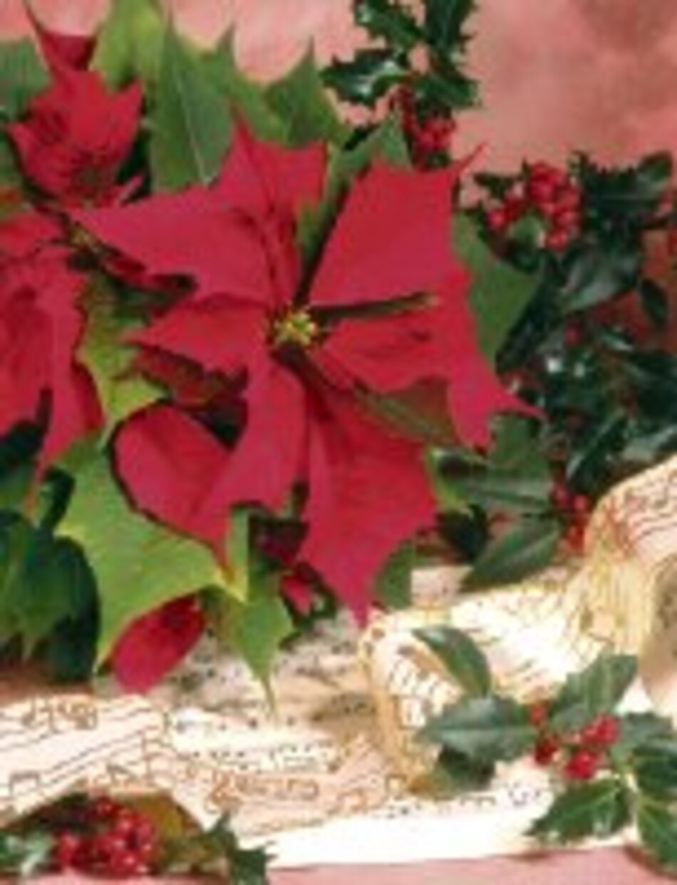 Villancicos polifónicos