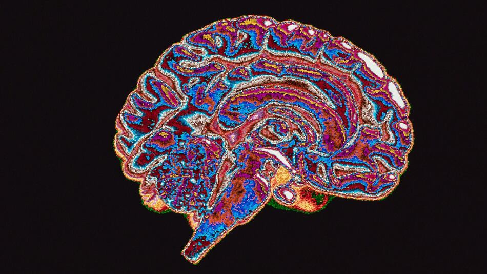 ¿Tendemos naturalmente los seres humanos a la corrupción? Lo que dice la neurociencia
