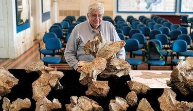 Descubren el mayor dinosaurio de Brasil que estuvo guardado 60 años en el clóset de un museo