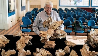 Descubren el mayor dinosaurio de Brasil que estuvo guardado 60 años en el clóset de un museo