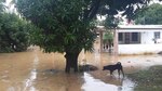 Inundaciones en varios sectores del distrito de Chepo